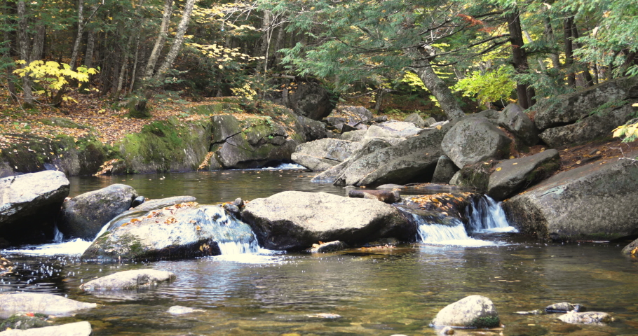 Calm static shot of a gentle stream in Autumn, Screw Auger Falls, Maine