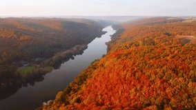 Slow flight over autumn forest and great river at dawn. Shooting from a bird's eye view. Location place Dniester canyon, Ukraine, Europe. Cinematic aerial shot. Beauty earth. Filmed 4k, drone video.