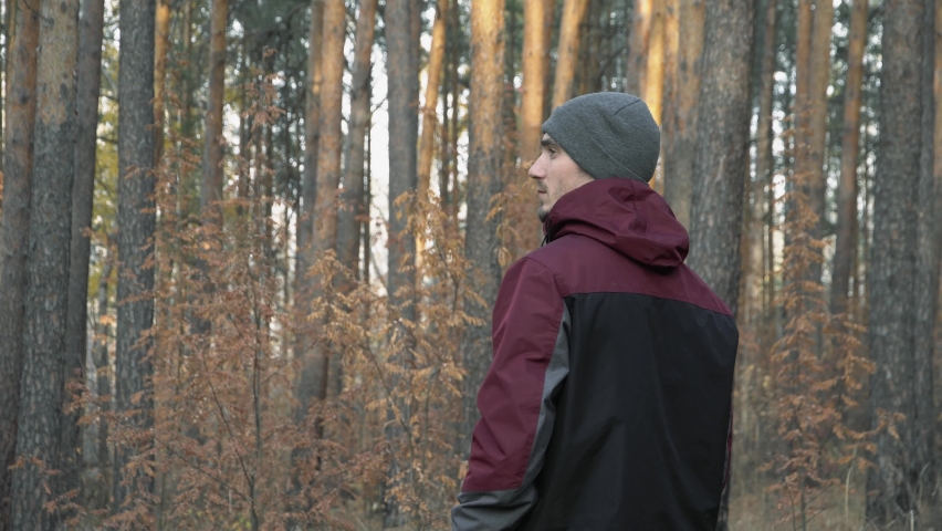 Rear View, Young Traveler in the Pine Forest Looks Around and Enjoys Nature and a Beautiful Day. Young Man Hiking in Forest in Autumn. Active healthy Beautiful man in wood. Leisure, bio-tourism