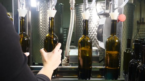 Filling brown glass bottles with wine by machine in winery. Empty bottles are filled with liquid. Wine production. Wine bottling factory. Workshop with workers where wine is bottled. 4 k video