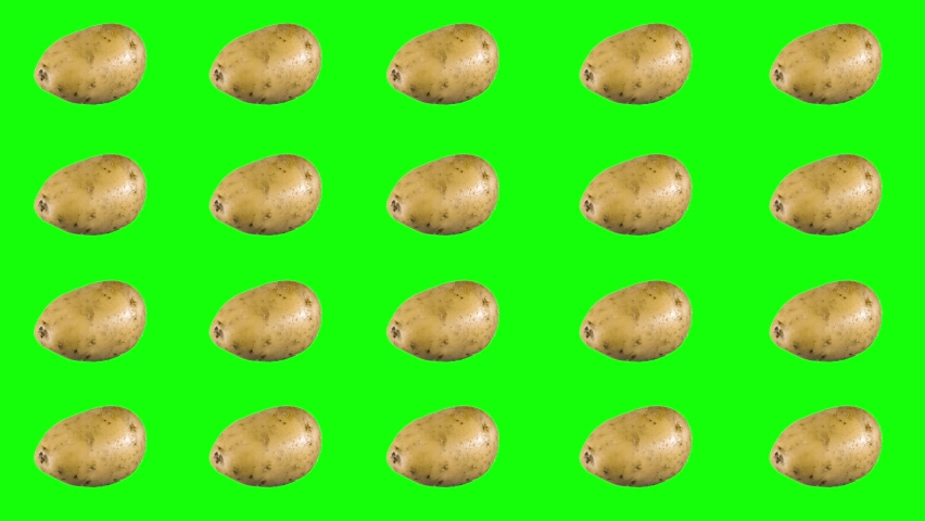 Minimalistic animated design style. Elements concept blank background template. The art of minimal motion design. Lots of rotating potatoes on a green background.