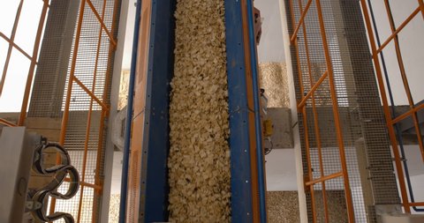 Production building of a timber processing plant, in which wood chips are conveyed along a conveyor after grinding tree trunks, which will eventually become plywood 