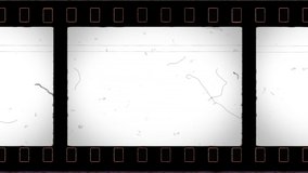 Vistavision Film Frame 4K with Sprocket Hole and Noise, Dust, Hair, Scratches on Old Damaged Film Seamless Texture. Animated Only Perforation Frame is Motionless. Tape Loop. Opacity or Screen Mode 