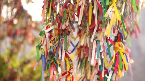 Close-up view 4k stock video footage of wish tree with many bright colorful ribbons hanging on branches
