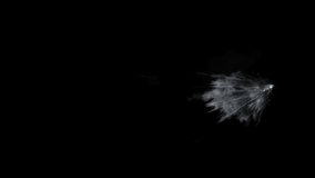 4K Smoke, Fog in Slow Motion, realistic smoke cloud, best for using in composition, use screen mode for blending, fire smoke, ascending vapor steam over black background - floating fog - Powered by Shutterstock - Get 15% off with code: PIKWIZARD15
