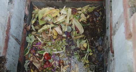 EPSOM, SURREY, UK - CIRCA 2021 SEPTEMBER: Vegetable peelings and other uncooked food waste falling into the compost bin in the back yard to create organic compost