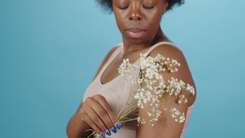 Medium close-up portrait with slowmo of tender curvy African-American woman in underwear sliding babys breath flower down her shoulder standing on blue background. Concept of body positivity