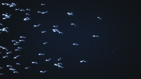 Human sperm swimming on the screen across screen
