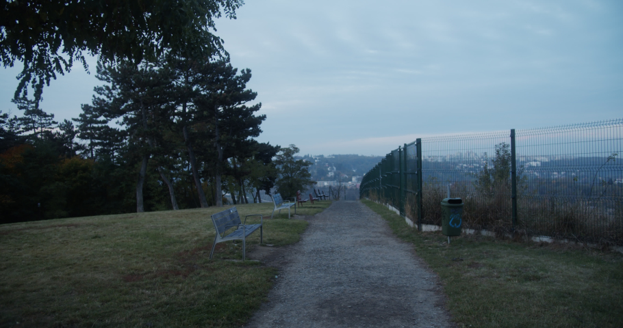 pathway in the park morning mood