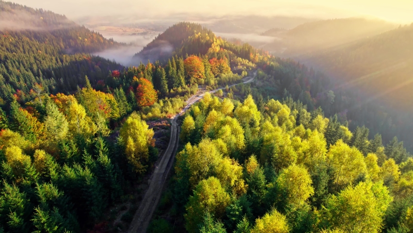 Autumn landscape in the mountains. Aerial view of road between yellow and red autumn trees, morning fog, sunrise. Autumn alpine forest