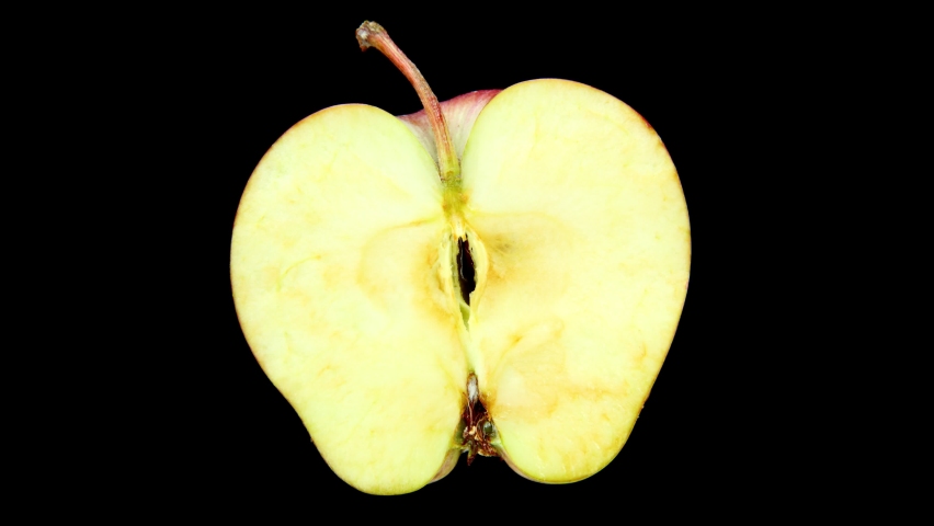 The apple half dries out and shrinks, high quality time lapse shot, isolated fruit on black. Red peel and green inside, color turns brown, becoming shriveled and reduced in size Royalty-Free Stock Footage #1080990179
