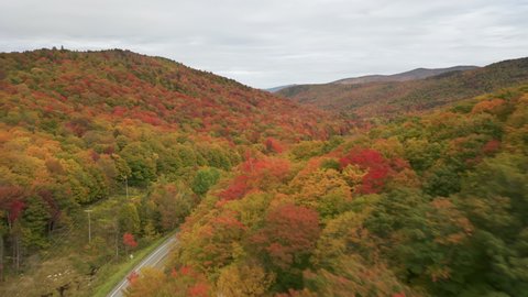 AERIAL Flying above stunning colorful treetops with turning leaves on cloudy day. Beautiful autumn trees in yellow, orange and red forest on rainy fall day. Fall foliage in fall forest, Vermont USA 4K