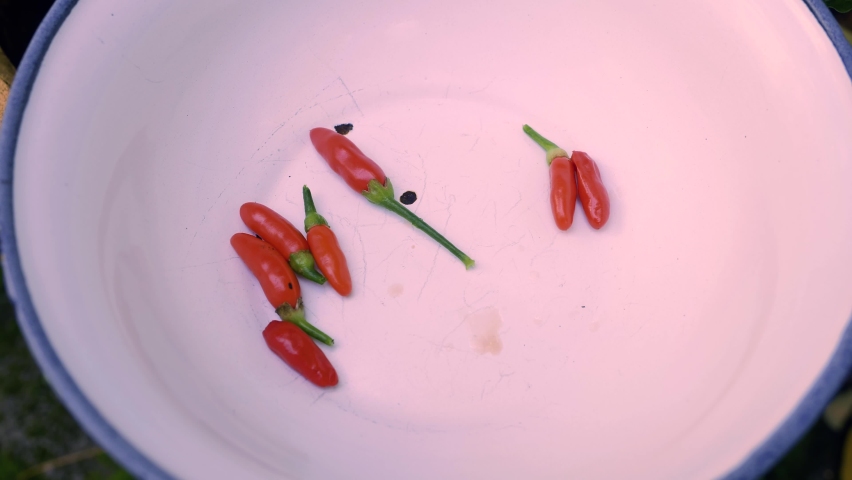 Slow zoom shot of some red chili peppers laying in a bowl, close up.
