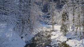 Aerial View. A Mysterious Mountain River Flowing Through a Picturesque Snow-covered Forest. A White Winter Wonderland Covered in Snow and Permeated with Magical Light. Fabulous Image of Nature.