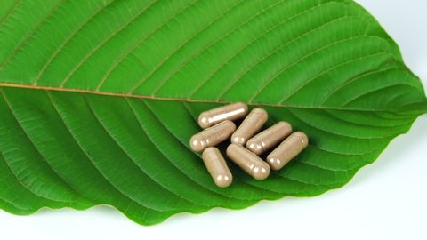 capsule on kratom leaf on white background,(Mitragyna speciosa) Drugs and Narcotics,Thai herbal which encourage health.             