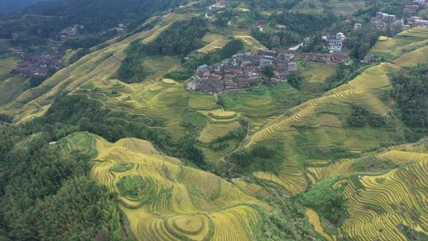 Panoramic view of rice fields in Longji, China