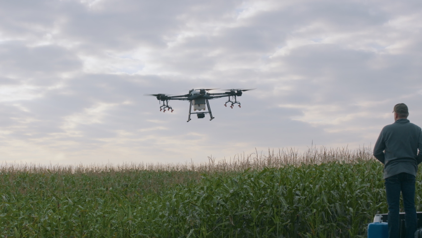Farmer controlling a huge intelligent agriculture drone with spray nozzles near corn field early in the morning