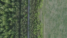 flying over three roads - paved, forest and field. Surrounded by a smooth row of trees