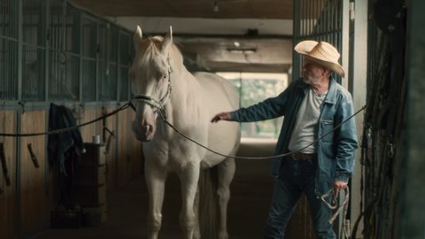 Elderly man in straw hat and denim clothes attaching leash to bridle and detaching ropes while preparing to lead albino horse away in aisle of stable