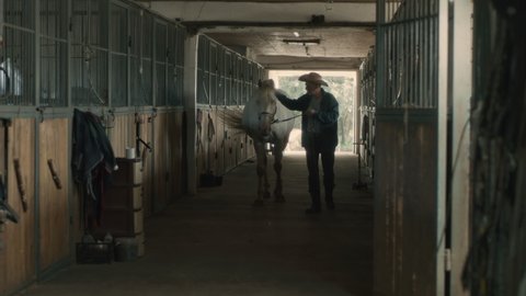 Elderly man in casual clothes and straw hat caressing and leading albino horse to stall while walking in aisle of stable on farm