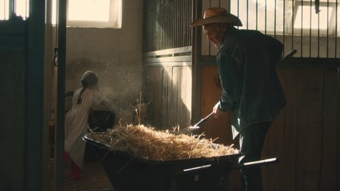 Elderly man in casual clothes and hat using pitchfork to throw straw from wheelbarrow into stall with goats while working in barn with little girl on farm