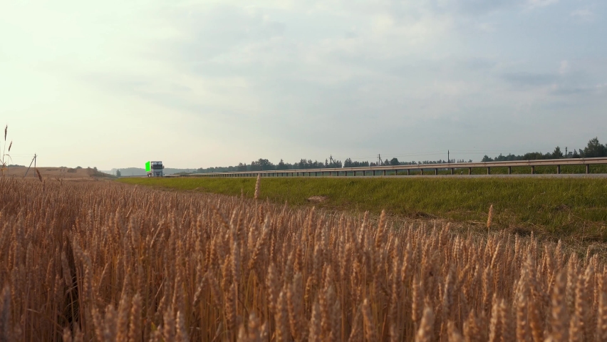 Truck with green screen and tracking markers on trailer drives along the highway past a wheat field in the rays of the dawn sun. Mockup concept for adding your logo, slogan or company name Royalty-Free Stock Footage #1081033136