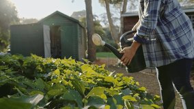Caucasian female farmer working out doors watering plants with watering can 