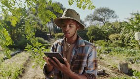 African American male typing on digital tablet while gardening outdoors