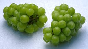 4K slow motion video of Muscat grapes being washed in a shower with a white background.