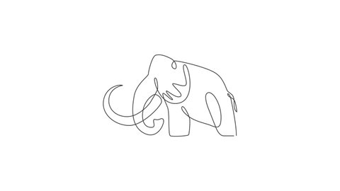Animated self drawing of one continuous line draw big mammoth company logo identity. Prehistoric animal from ice age icon concept. Full length single line animation illustration.