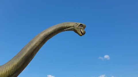 Diplodocus dinosaur on the background the blue sky.