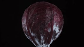 Purple cabbage with water drops isolated on black background, rotate. Healthy food concept. 4K UHD video