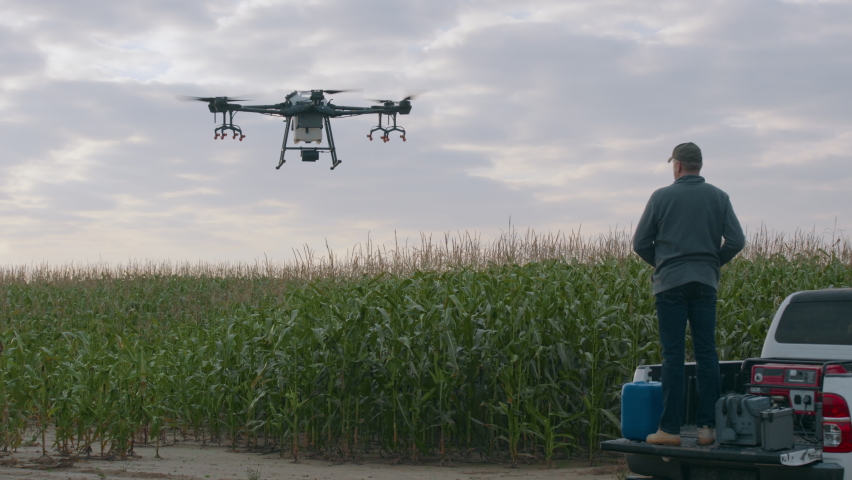 Farmer controlling a huge intelligent agriculture drone with spray nozzles near corn field early in the morning
