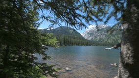 Jenny Lake, Grand Teton National Park, Wyoming USA. Blue Alpine Water Under Mountain Hills on Sunny Summer Day, Revealing View Behind Conifer Trees - Powered by Shutterstock - Get 15% off with code: PIKWIZARD15