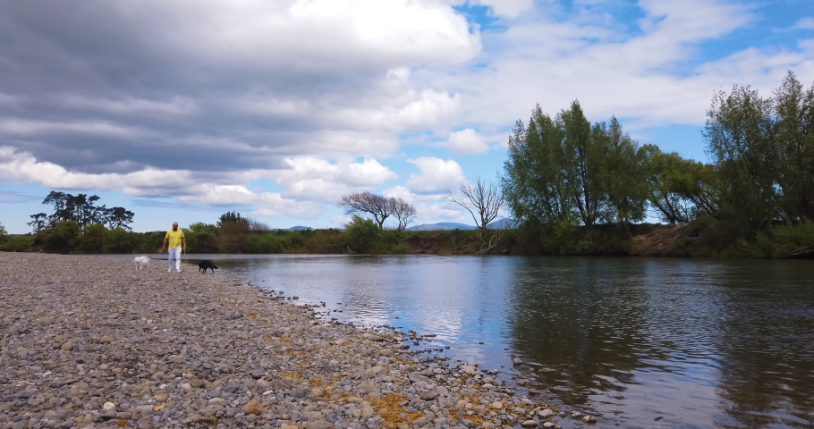 Dogs sniff and forage on river walk with exasperated owner - Martinborough NZ
