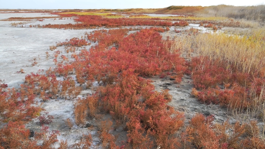 Autumn landscape in cloudy weather with a view of the salt lake and the river flowing into it. The river banks are overgrown with reeds. Lake Elton, Volgograd region, Russia