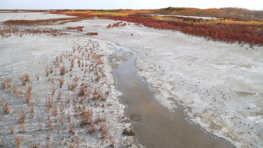 Autumn landscape in cloudy weather with a view of the salt lake and the river flowing into it. The river banks are overgrown with reeds. Lake Elton, Volgograd region, Russia