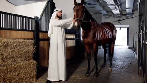 Rich arabian sheikh spending time with his horse at the stable while standing inside. Hobbies for rich people concept