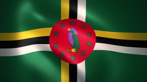 Flag of Commonwealth of Dominica Waving in the Wind (CG | LOOP)