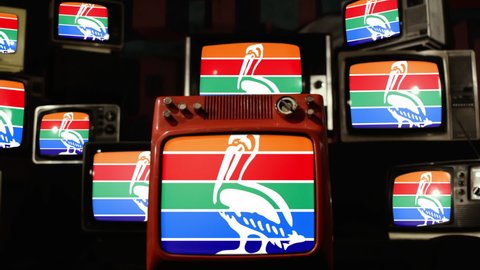 Flag of St. Petersburg, Florida, and Vintage Televisions.
