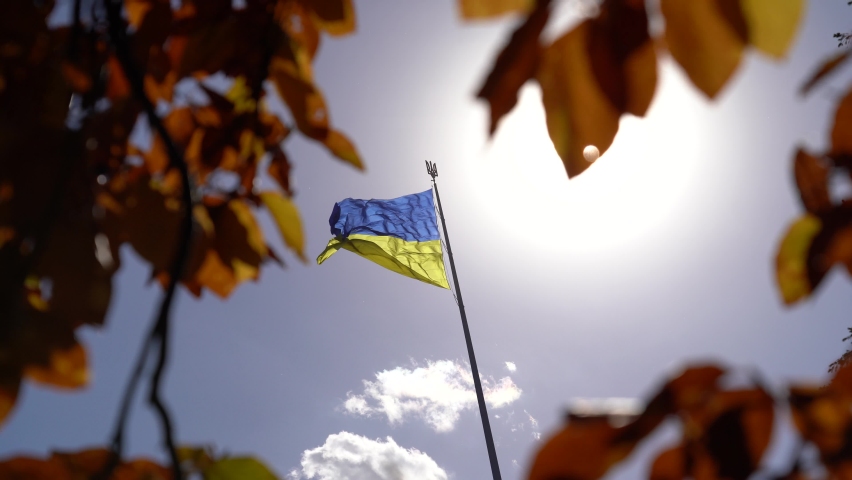 Flag of Ukraine on a background of blue sky, illuminated by sunlight, warm autumn. Frame of yellow autumn leaves | Shutterstock HD Video #1081144043