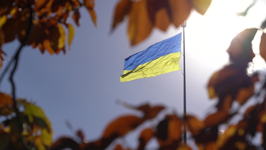 Flag of Ukraine on a background of blue sky, illuminated by sunlight, warm autumn. Frame of yellow autumn leaves | Shutterstock HD Video #1081144049