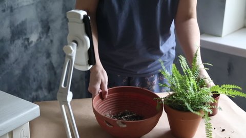 Houseplant care, fern transplanting, planting accessories, pot. Online master class on laptop. copy space, natural lights, grey background, woman hand