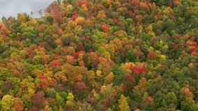 Beautiful colorful fall aerial 4K. Scenic autumn foliage in vibrant yellow, orange and red leaves on top of trees. Cinematic drone flight above fall forrest in mountains of Vermont on cloudy day, USA - Powered by Shutterstock - Get 15% off with code: PIKWIZARD15