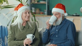 Happy Elderly Couple in Santa Claus Hats Celebrating Christmas in Cozy Living Room at Home, Enjoying Pleasant Conversation While Holding Cups of Hot Tea. Elderly People Celebrate Christmas at Home.
