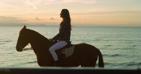 Cinematic shot of young happy carefree woman is riding purebred brown horse on seaside at sunset.