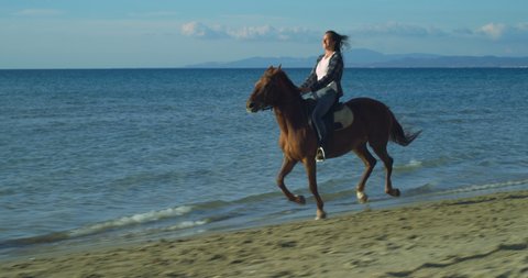 Cinematic shot of young happy carefree woman is riding purebred brown horse on seaside at sunset.