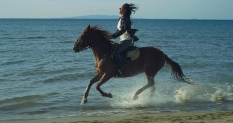 Cinematic shot of young carefree excited female rider is galloping her purebred brown horse while training it for race tournament on seaside beach at sunset.
