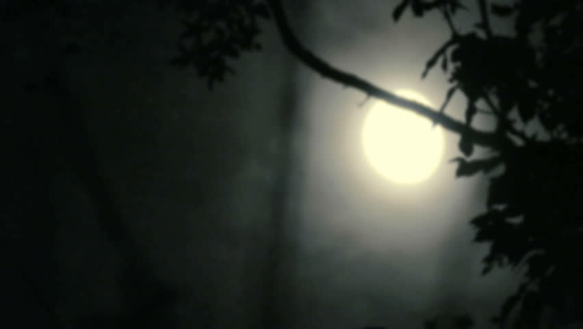 Луна туман песня