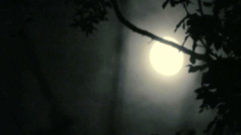 Timelapse of full moon fog in night sky, soft focus for creepy effect : vidéo de stock